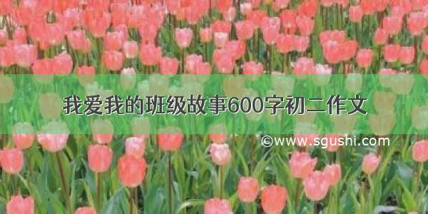 我爱我的班级故事600字初二作文