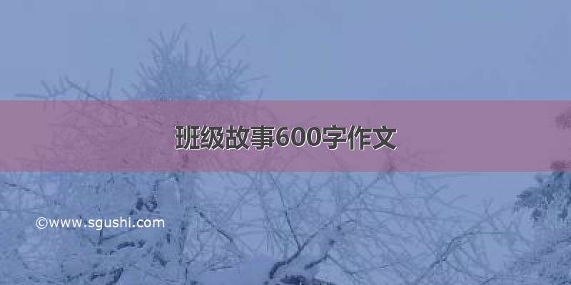 班级故事600字作文