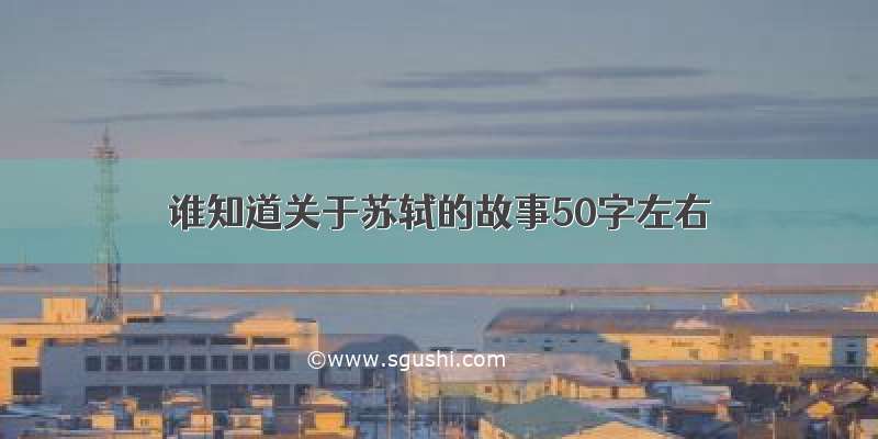 谁知道关于苏轼的故事50字左右