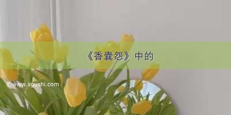 《香囊怨》中的