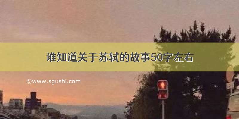 谁知道关于苏轼的故事50字左右