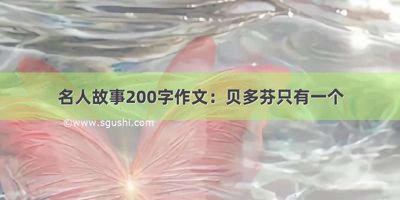 名人故事200字作文：贝多芬只有一个