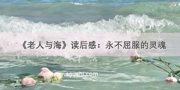 《老人与海》读后感：永不屈服的灵魂