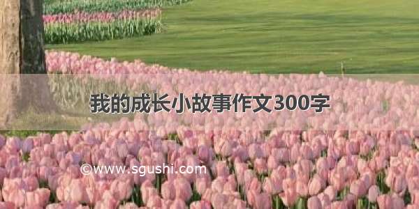 我的成长小故事作文300字