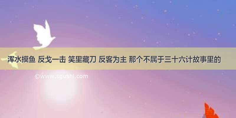 浑水摸鱼 反戈一击 笑里藏刀 反客为主 那个不属于三十六计故事里的