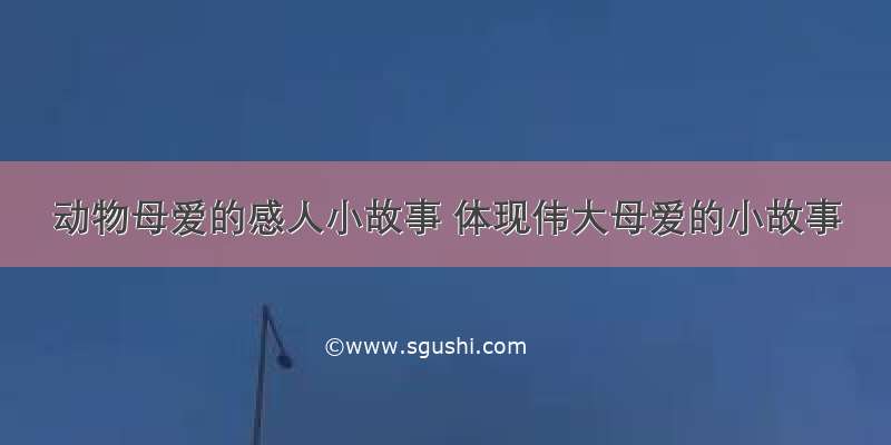 动物母爱的感人小故事 体现伟大母爱的小故事