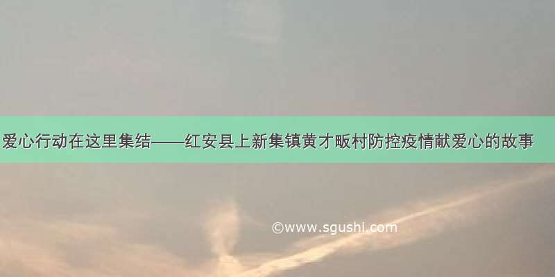 爱心行动在这里集结——红安县上新集镇黄才畈村防控疫情献爱心的故事