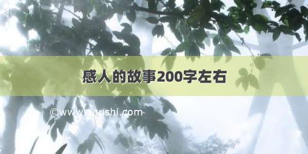 感人的故事200字左右