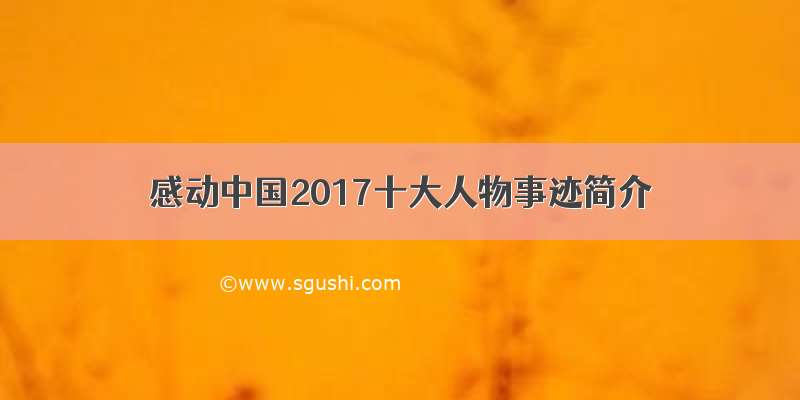 感动中国2017十大人物事迹简介