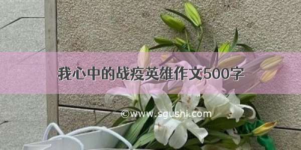 我心中的战疫英雄作文500字