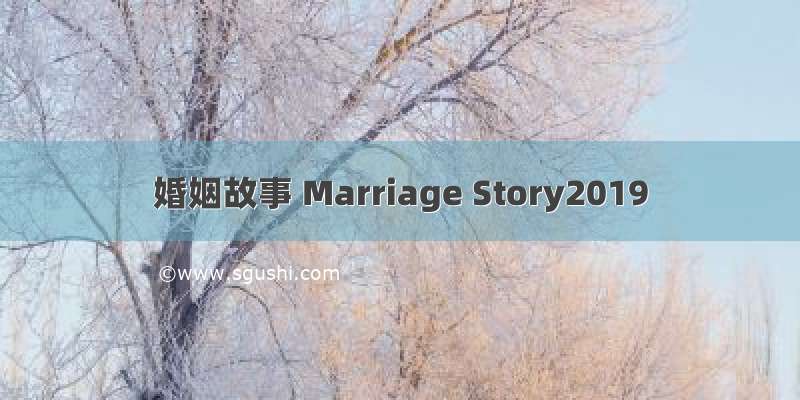 婚姻故事 Marriage Story2019