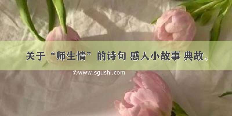 关于“师生情”的诗句 感人小故事 典故。