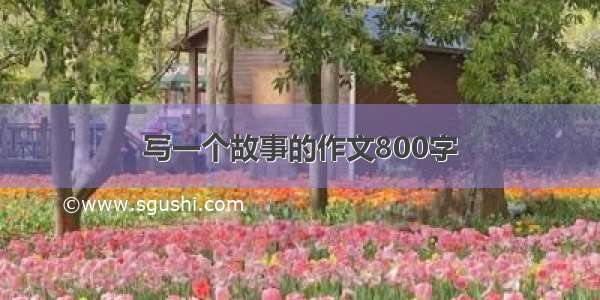 写一个故事的作文800字