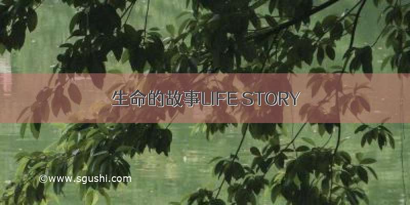 生命的故事LIFE STORY