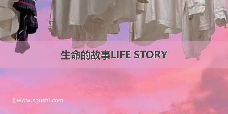 生命的故事LIFE STORY