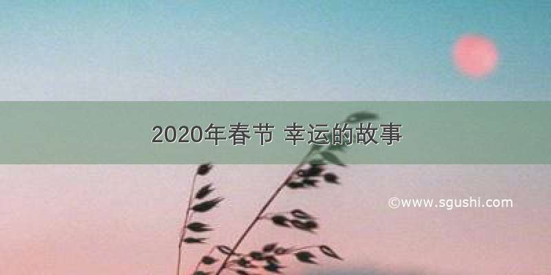 2020年春节 幸运的故事