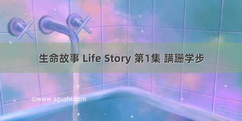 生命故事 Life Story 第1集 蹒跚学步