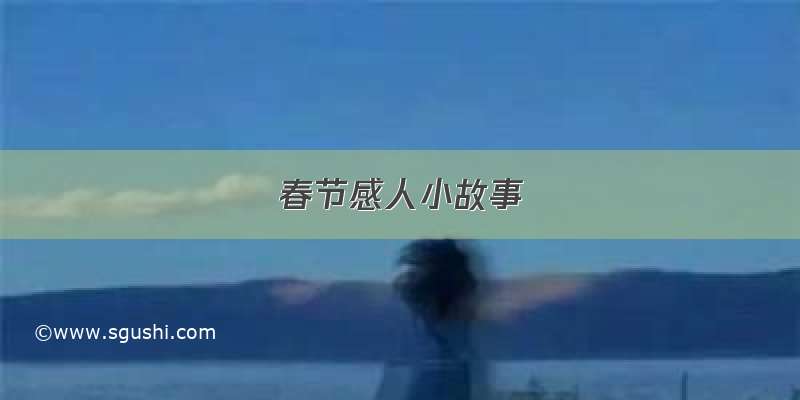 春节感人小故事