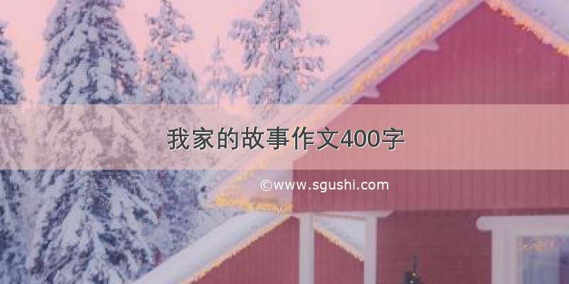 我家的故事作文400字