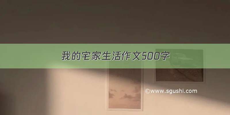 我的宅家生活作文500字