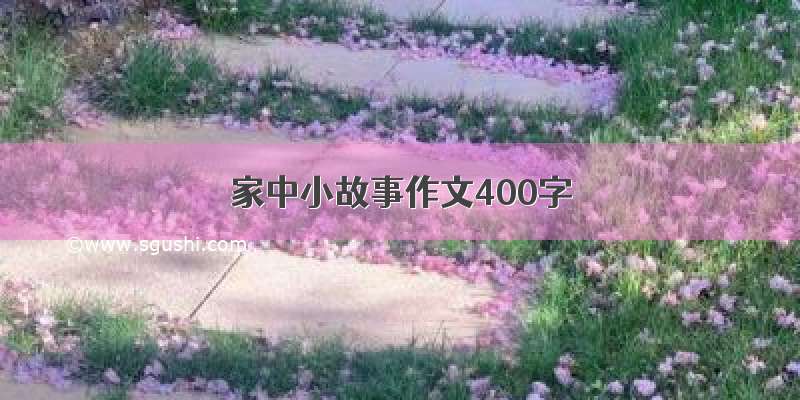 家中小故事作文400字