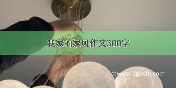 我家的家风作文300字