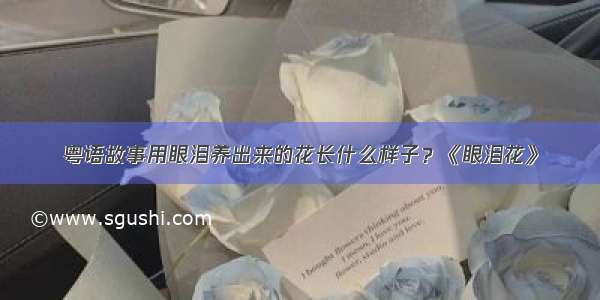 粤语故事用眼泪养出来的花长什么样子？《眼泪花》