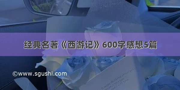 经典名著《西游记》600字感想5篇