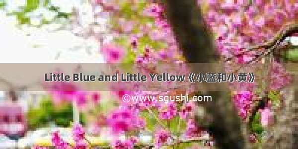 Little Blue and Little Yellow《小蓝和小黄》