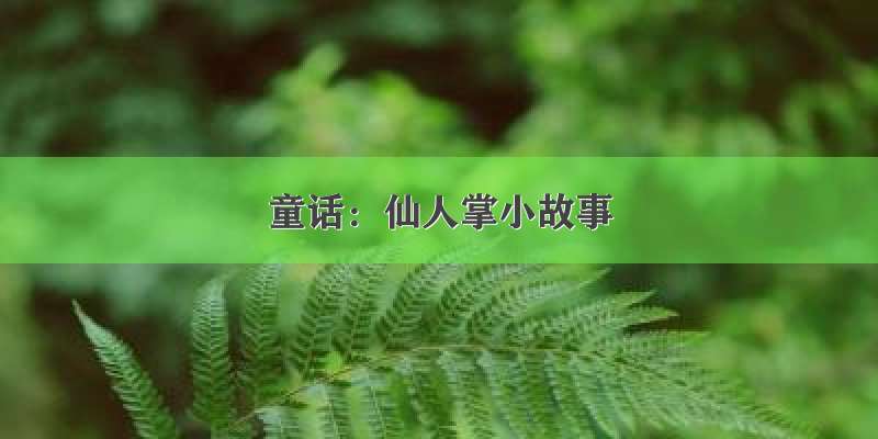 童话：仙人掌小故事