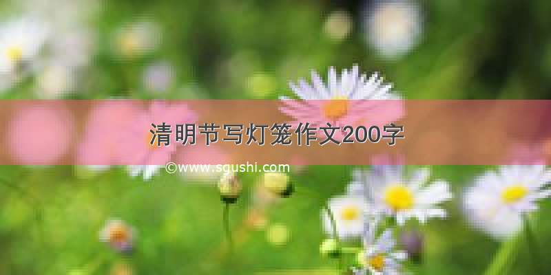 清明节写灯笼作文200字