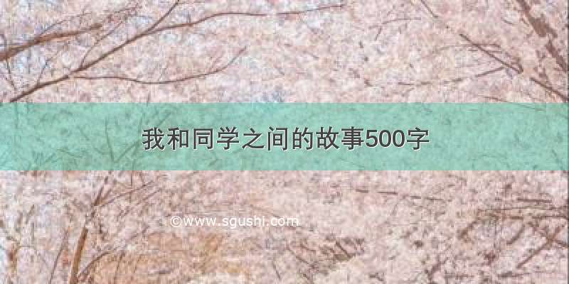 我和同学之间的故事500字