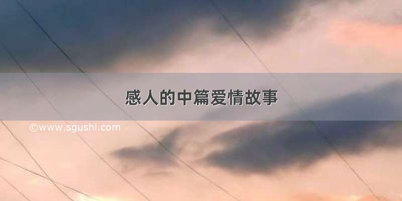 感人的中篇爱情故事