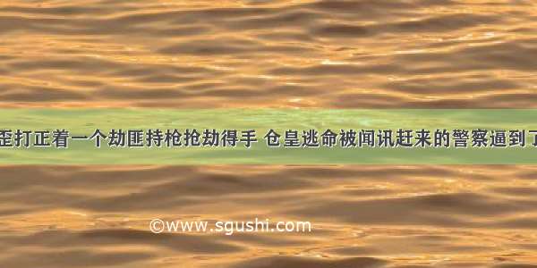 小故事： 歪打正着一个劫匪持枪抢劫得手 仓皇逃命被闻讯赶来的警察逼到了路边 狗急