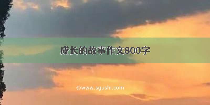 成长的故事作文800字