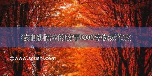 我和孙悟空的故事600字优秀作文