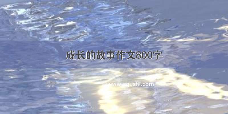 成长的故事作文800字