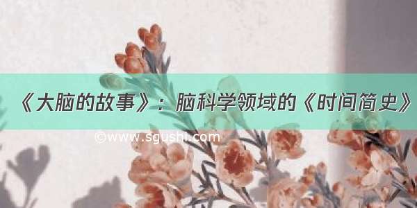 《大脑的故事》：脑科学领域的《时间简史》