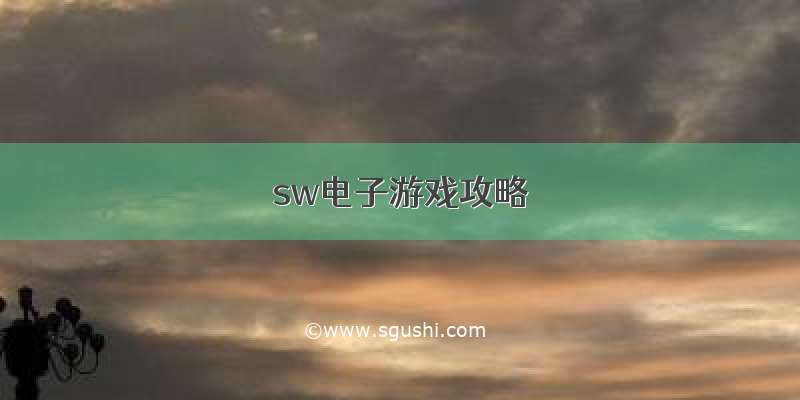 sw电子游戏攻略