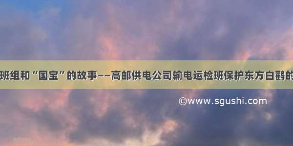 一个班组和“国宝”的故事——高邮供电公司输电运检班保护东方白鹳的故事