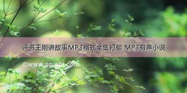 评书王刚讲故事MP3格式全集打包 MP3有声小说