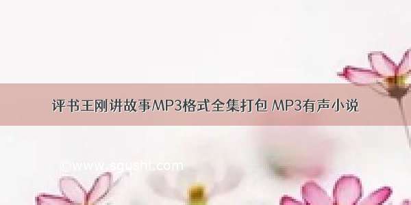 评书王刚讲故事MP3格式全集打包 MP3有声小说