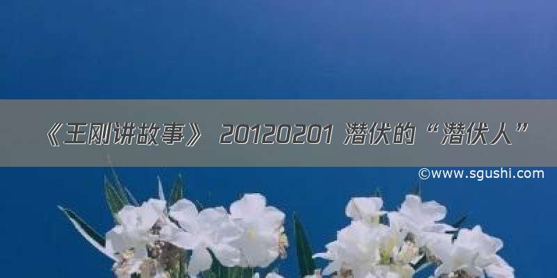 《王刚讲故事》 20120201 潜伏的“潜伏人”