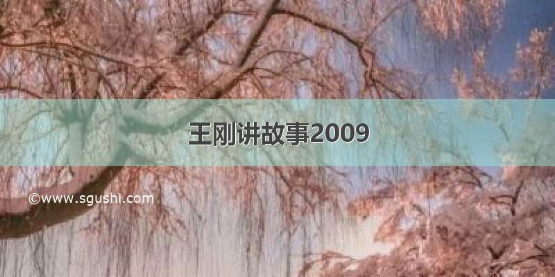王刚讲故事2009
