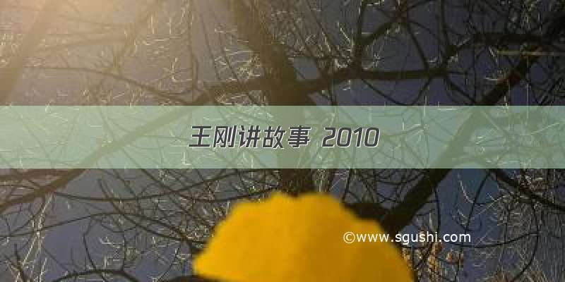 王刚讲故事 2010