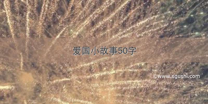 爱国小故事50字