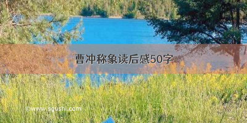 曹冲称象读后感50字