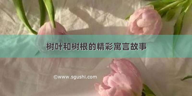 树叶和树根的精彩寓言故事