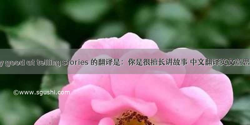 You are very good at telling stories 的翻译是：你是很擅长讲故事 中文翻译英文意思 翻译英语