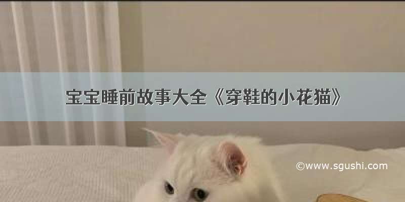 宝宝睡前故事大全《穿鞋的小花猫》